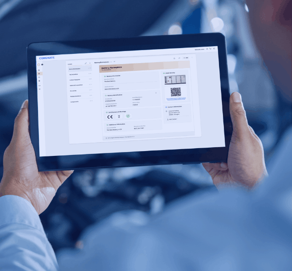 CORENATE - Services - DPP Implementation - Insight - GO
